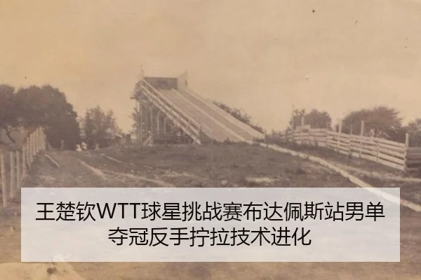 wang-chu-qin-qiu-xing-tiao-zhan-sai-bu-da-pei-si-zhan-nan-dan-duo-guan-fan-shou-ning-la-ji-shu-jin-hua-3-541.jpg